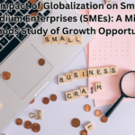 The Impact of Globalization on Small and Medium Enterprises (SMEs): A Mixed-Methods Study of Growth Opportunities